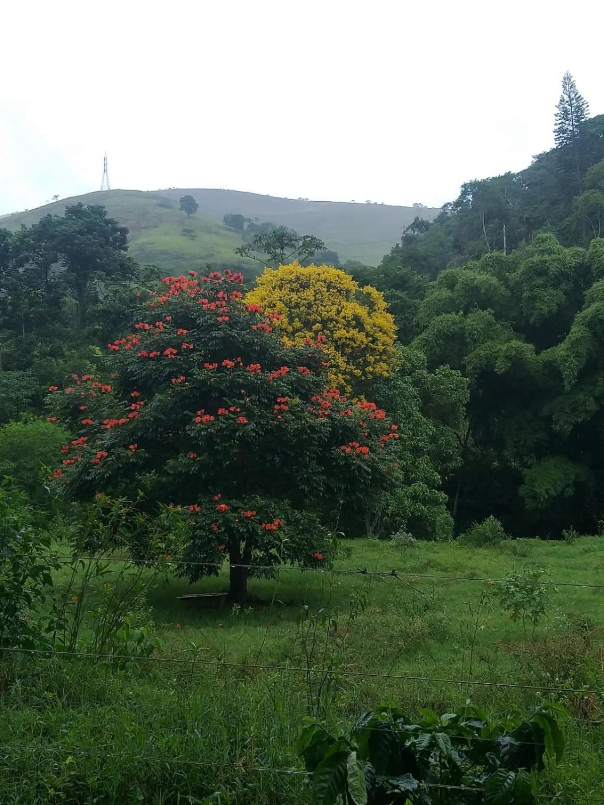 Fazenda Piloes Petropolis (Rio de Janeiro) Exterior foto